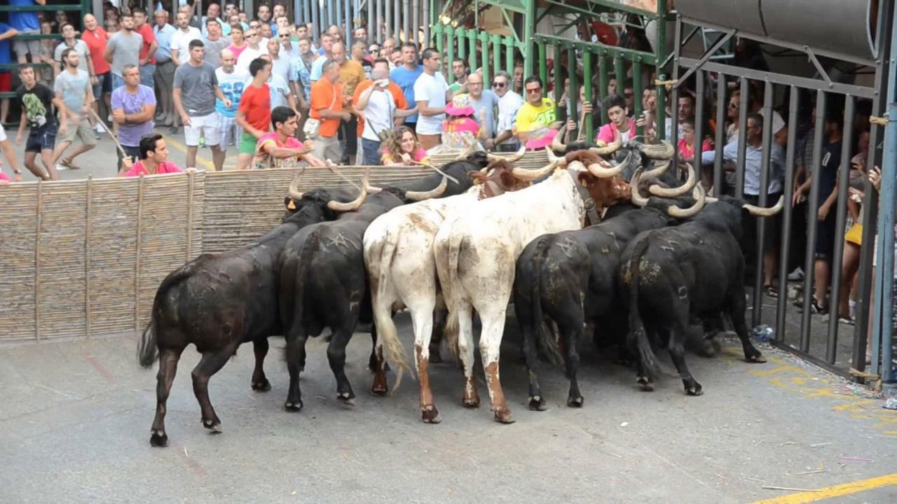 Ca La Martí Pedreguer Exterior foto